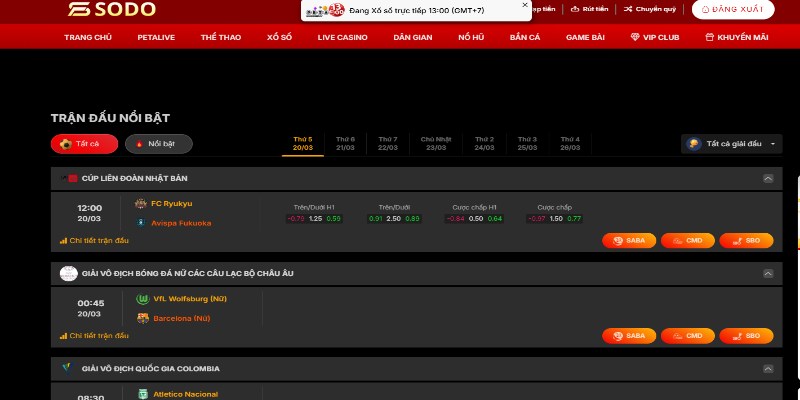 Tìm hiểu sơ lược về sảnh thể thao 79Sodo